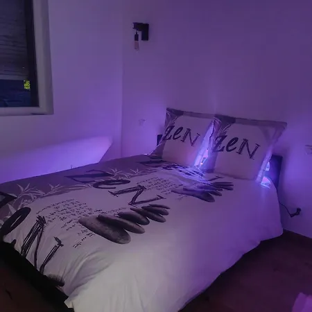 Hotel Maison Avec Jardin A 5 Minutes Du Grand Stade Pierre Mauroy 3*